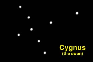 Cygnus the Swan