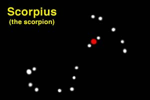 Scorpius the Scorpion